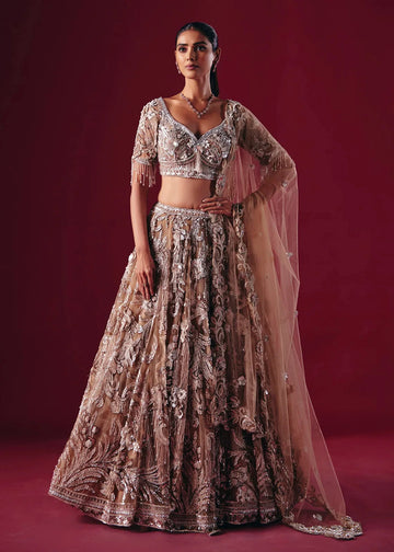 A woman models an ornate traditional lehenga choli set in a studio setting with a deep burgundy background. The outfit features intricate silver and gold embroidery over a dusty rose/taupe base, with a sheer matching dupatta draped over one shoulder.